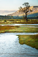 Soda Butte Creek and Abrasoka Mountain Range at sunrise, Yellowstone NP